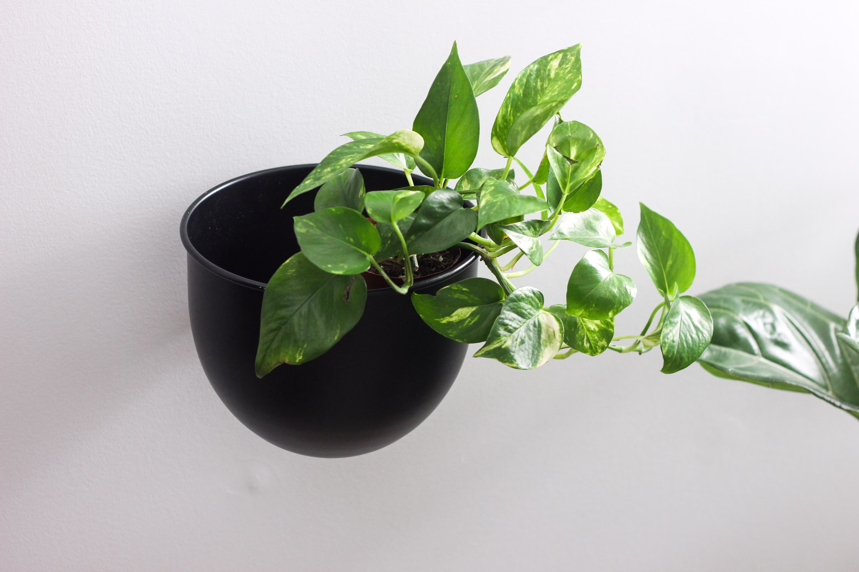 Black Metal Minimalist Round Wall Planter Pot