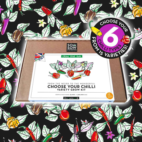 Choose Your Chilli Chilli Variety Grow Kit