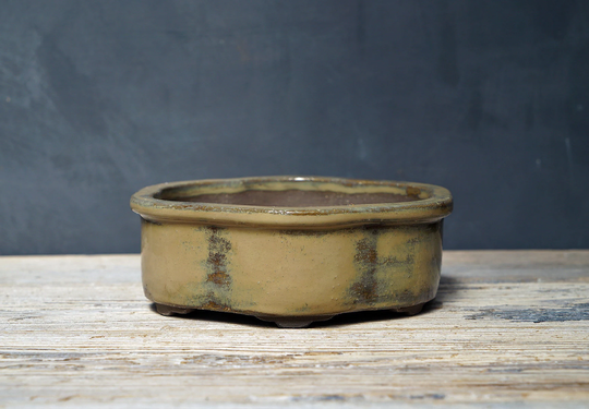 Handmade Bonsai Pot, Lotus Beige Shohin Succulent Cactus Planter