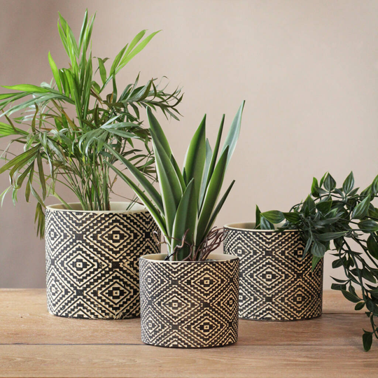 Black Terracotta Geometric Planters