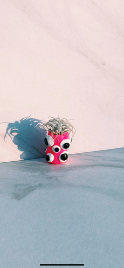 Last Chance Small Alien Air-Plant Holder, Gift Idea, Fits Airplant, Free Shipping, Ready To Ship