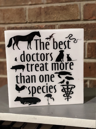 The Best Doctors Resin Sign