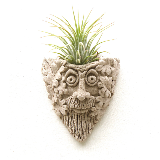 Green Man Airplant Holder, Green Man Air Plant Pot, Display, Flower