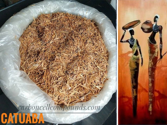 Catuaba Bark | Origin. South Americas Mountains | - Free Intn'l Shipping(For Orders Up To 99 Dollars