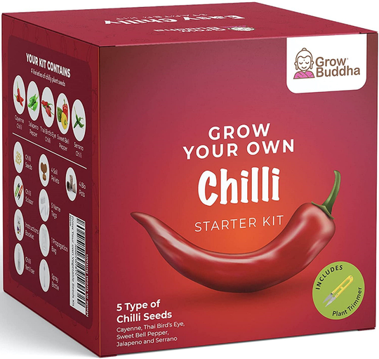 Grow Your Own Chilli Seeds Kit - 5 Different Types Of At Home Beginner Friendly Starter