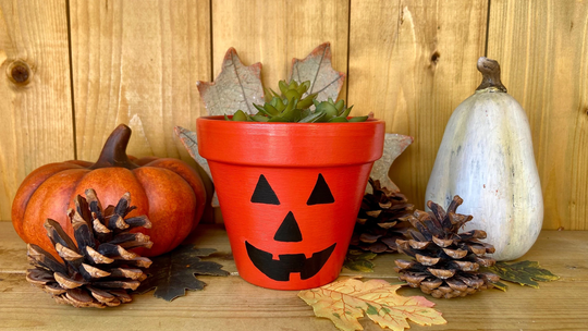 Halloween Pumpkin Pot 11 cm | Jack O' Lantern Plant |Planter With Drainage Hole|Hand Painted| Planter Terracotta |Halloween Gift