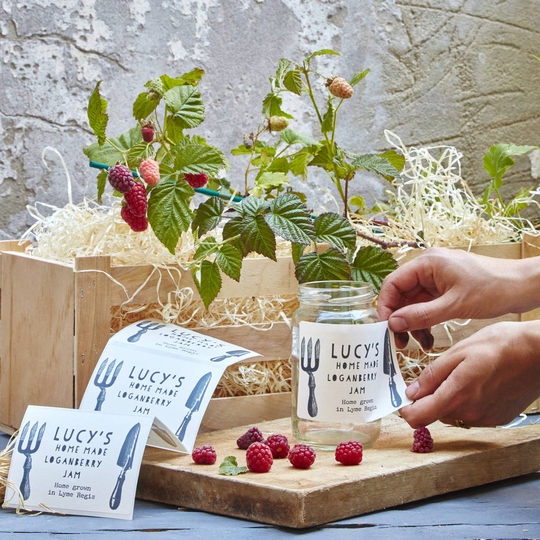 Grow Your Own Loganberry Jam Gift Set