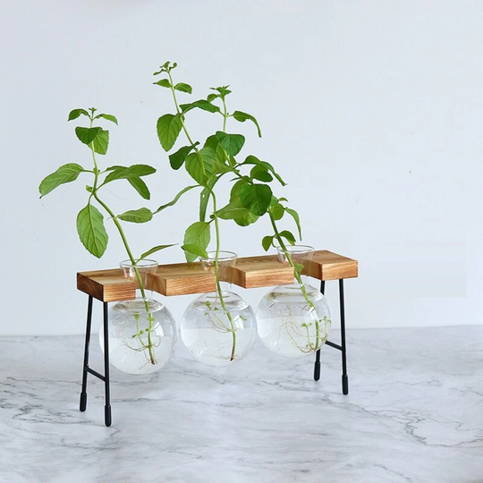 Diy Glass Propagation Bulbs Vase With Wood Stand | Hydroponic Plant Station Wooden Bulb Vase