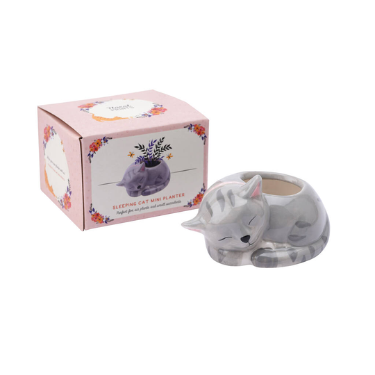 Sleeping Cat Mini Indoor Air Planter With Gift Box