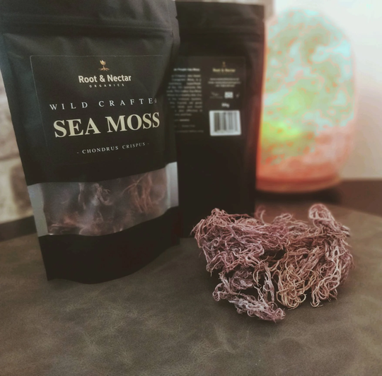 Raw Wild Crafted Jamaican Purple Sea Moss