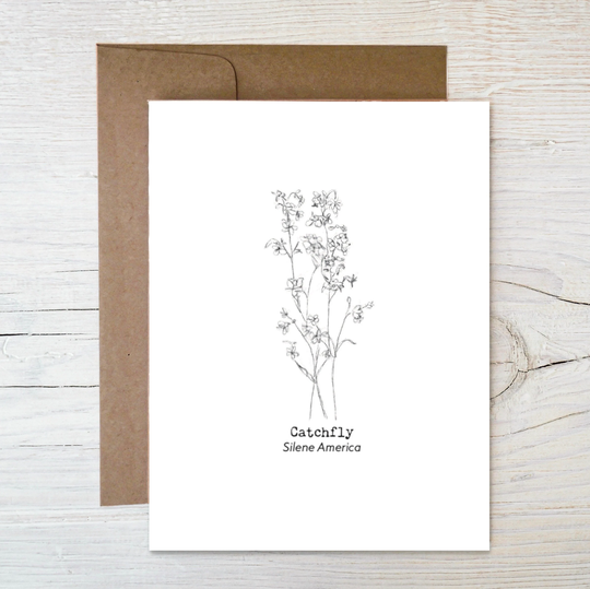 Plantable Wildflower Seed Card, Catchfly Sketched Image, Eco Friendly Blank Card