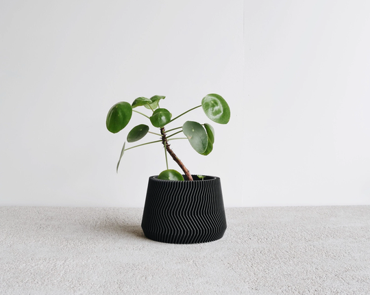 Black Indoor Planter - Savanne