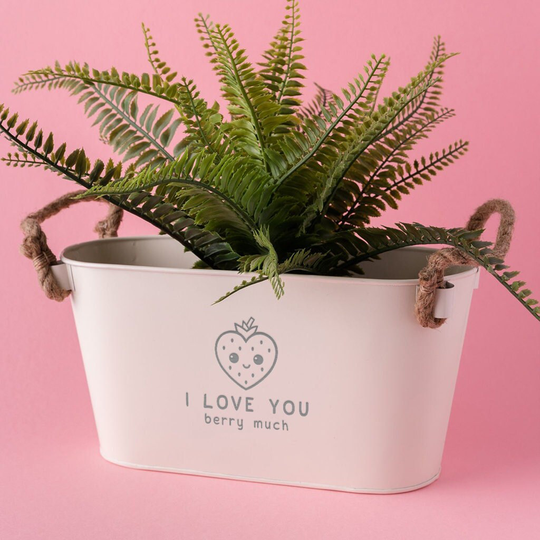 strawberry Planter
