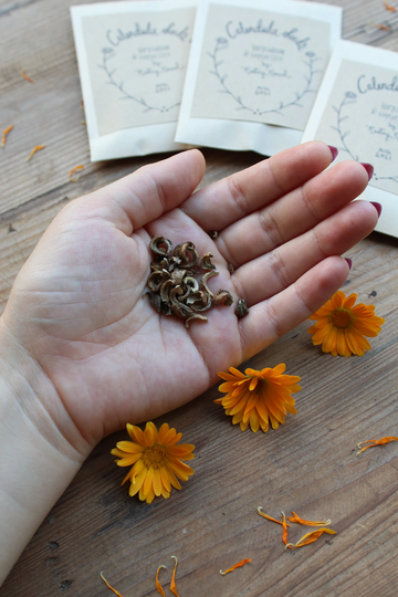 Packet Of 25 Calendula Seeds - Naturally Grown Using Organic Methods Medicinal Plant Officinalis