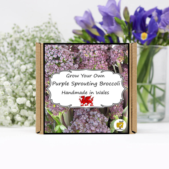 Grow Your Own Vegetables Kit / Sprouting Broccoli