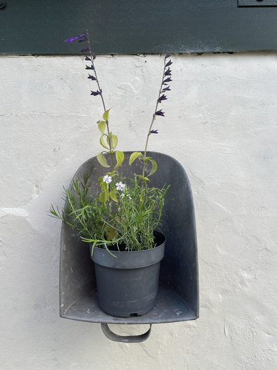 Vintage Galvanised Zinc Hanging Garden Planter