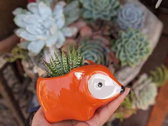 Ceramic Fox Planter With Succulent | Cute Animal Live Plant Potted In