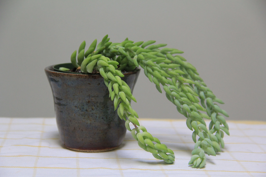 Ceramic Plant Pot - Handmade Speckled Blue Purple Glaze