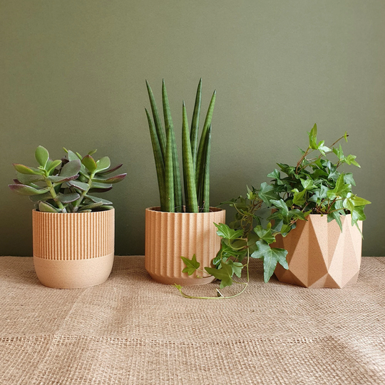 Eco Planter - Set Of Three Planet Friendly Geometric Plant Pots