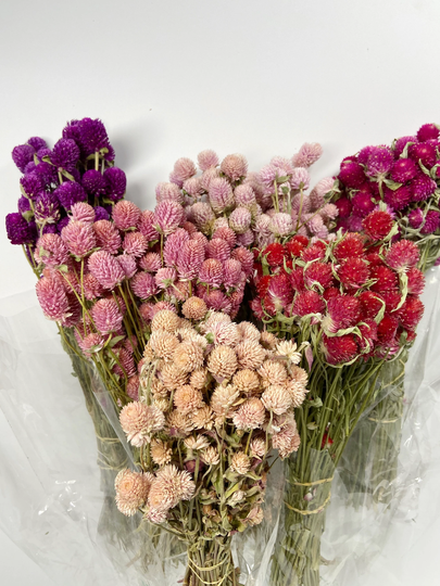 Globe Amaranth, Gomphrena, Dry Flowers, Dried, Red, Fuchsia Pink, Rose Floral, Wedding, Wildflowers Floral Arrangements