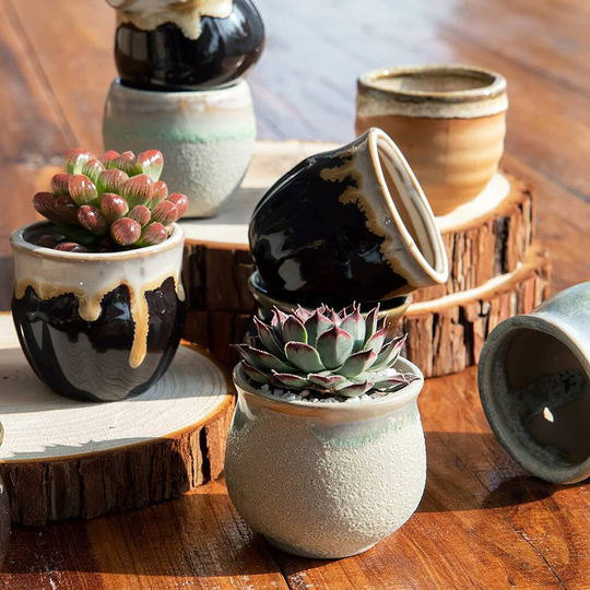 Set Of 12 Multicoloured Ceramic Mini Planters