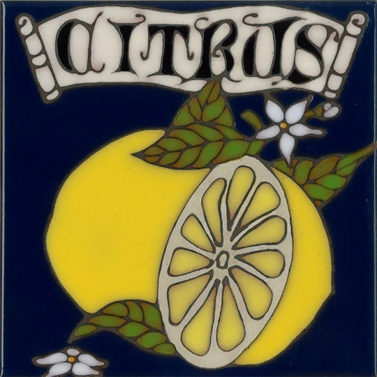 Hand Painted Ceramic Tile Lemon Citrus Original Art