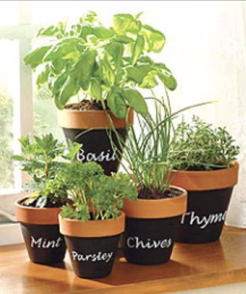 Beautiful Hand Painted Terracotta Succulent Pot With Spices Names For Indoors & Outdoors Drainage Hole At The Bottom. Seeds Included