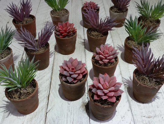 Set 3 Succulent Plants Succulents Artificial Green Pink & Purple Vintage Terracotta Pots Succulent Planter Faux in Pot Mothers Day