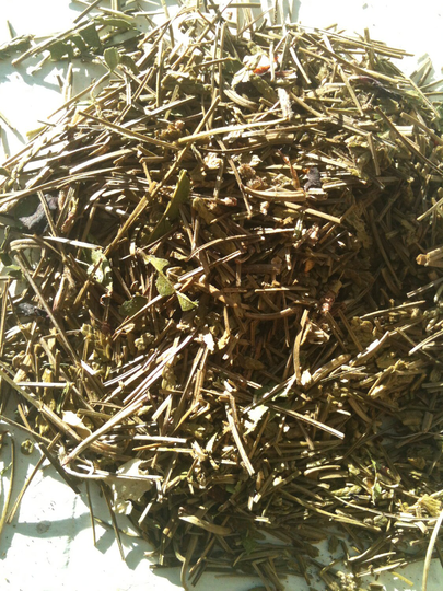 Pines, Cedar & Juniper Pre Mixed, Cut & Dried For Potpourri, Smudges, Incense Mojo Bags, Blessing Offerings Crafts