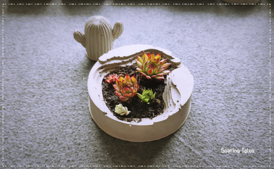 Circular Terraces Concrete Planter Succulent Pot Coffee Table Dish Home Decorations