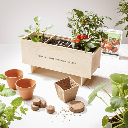 Personalised Herb Garden Fsc Wooden Wine Box