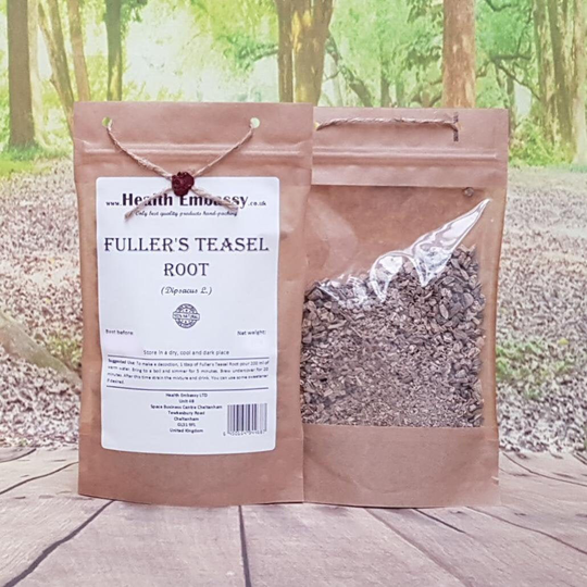 Fuller's Teasel Root/Dipsacus L Herbal Tea Health Embassy