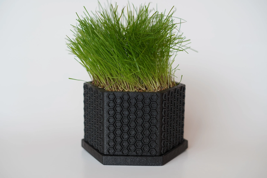 The Dhex Lawn | With Dirt & Seed Indoor Planter Gifts For Men Father's Day Desk Decor Toy Tools