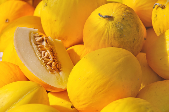 Batch Of 50 Canary 2 Yellow Melon Seeds
