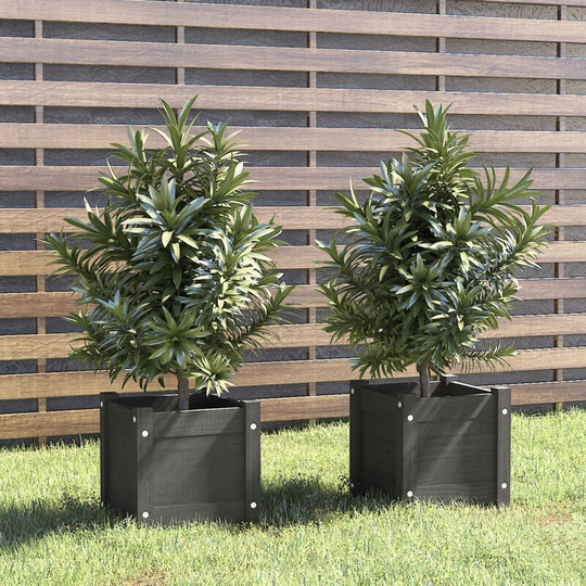 Asupermall - Garden Planters 2 pcs Grey 31x31x31 cm Solid Pinewood