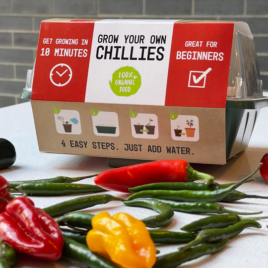 Grow Your Own Chilli Kit - Six Chilli Peppers To Grow