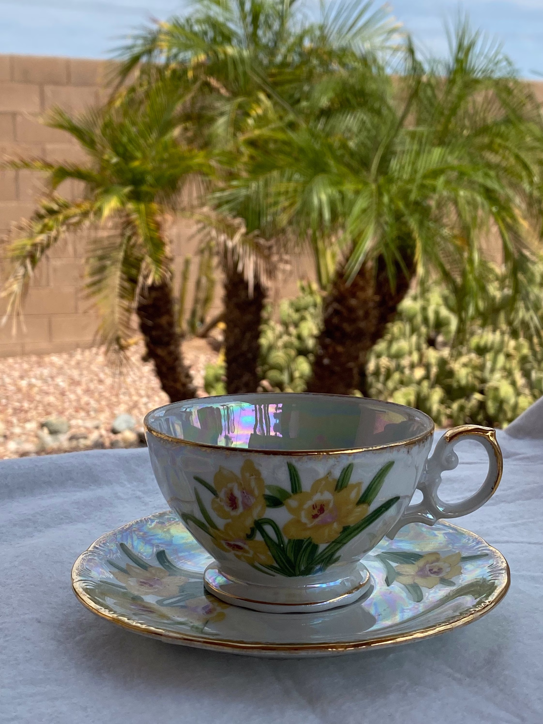 Tea Cup Sets