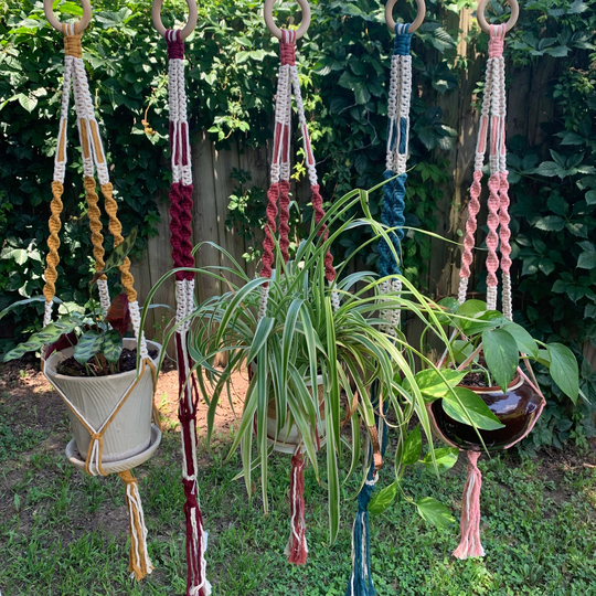 Macrame Plant Hanger