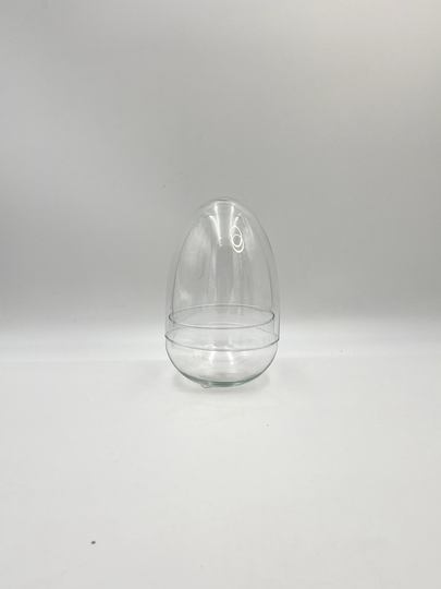 Terrarium Egg, Handmade Recycled Glass, Bowl With Egg Cover, H20 cm, D13.5 Terrarium Glass Vase, Glassware, Home Decor, Housewarming