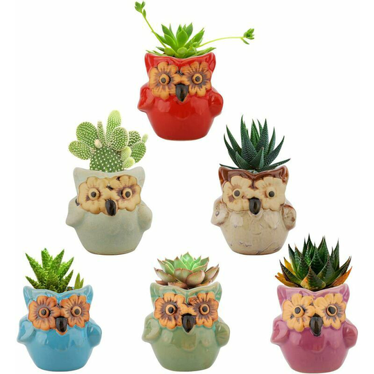 Pieces of succulent plant pots mini owl ceramic flower pot potted bonsai cactus gift home office window table decoration