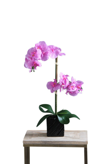 Orchid Artificial Plant Pink Flower Black Etched Pot Decoration Lifelike Petals 65 cm