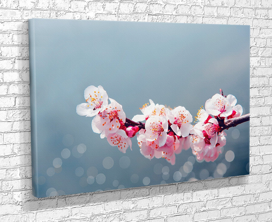 Cherry Blossom, Sakura Season, Spring Flowers, Flowers On Nature Print Canvas , Floating Frame Option, Extra Large Wall Art