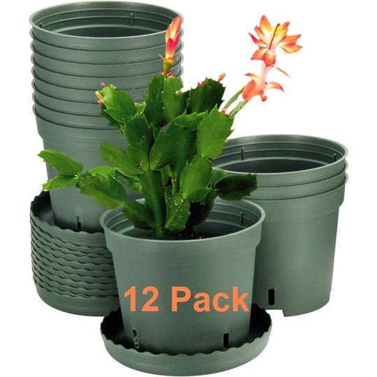 12 Pack Plant Pots, 6 inch Plastic Pots for Plants with Drainage Hole and Trays, Plants not Included