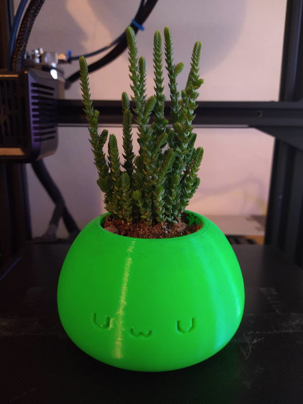 Uwu Planter | Plants Desk & Office Decor Cute Home Herb Succulent Cactus Halloween Garden House Warming