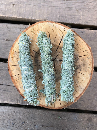 Wormwood Dried Smudging Stick Bundle Alternative Cleanser Anti Parasitic Journeying Rituals Ceremony Herbs Artemisia Absinthium Incense