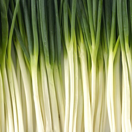 Vegetable seeds - white onion, Ishikura, 5g seeds per packet.