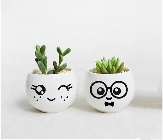 Diy Plant Pot Mr Glasses & Miss Freckles Sticker Set Of 2 Cute Nerd Geek Kawaii Eyes Face Indoor Outdoor Decal Garden Decor