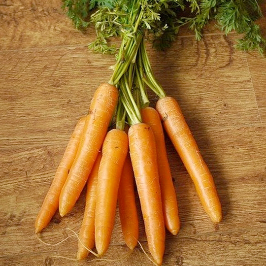 Kuroda Carrot - Rare Heirloom 30 Seeds