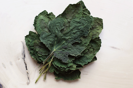 Organic Dried Figs Leaves, Turkish Fig Leaf, Natural Tea Supply
