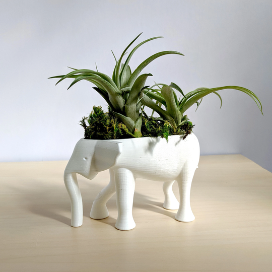 Elephant Planter For Hygge Home Cactus Planter, Air Plant Holder, Succulent Cute Animal Pot Holder
